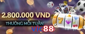 vic88